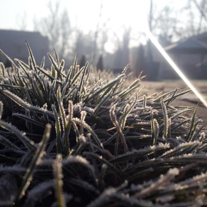 Cum va fi vremea în București în primele zile din ianuarie, potrivit ANM