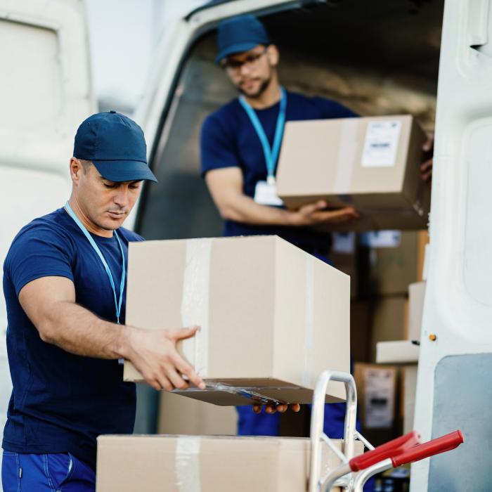 Colete extracomunitare. Neplata taxei logistice devine infracțiune, potrivit Monitorului Oficial