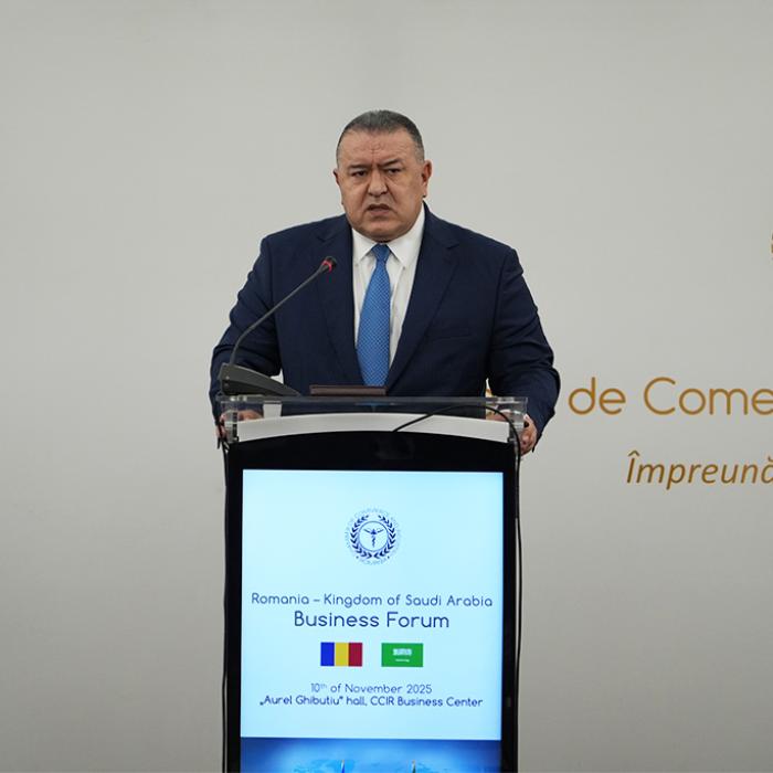 CCIR: 12 companii românești, prezente la Forumul de Afaceri România - Arabia Saudită