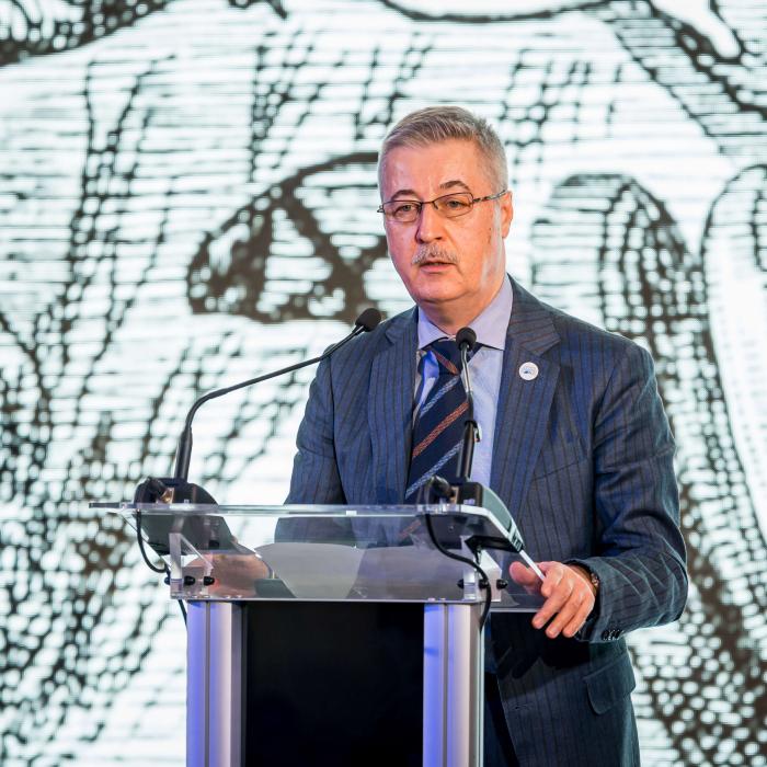 APIA: Piața auto din România va ajunge la 110.000 de mașini electrificate în 2026