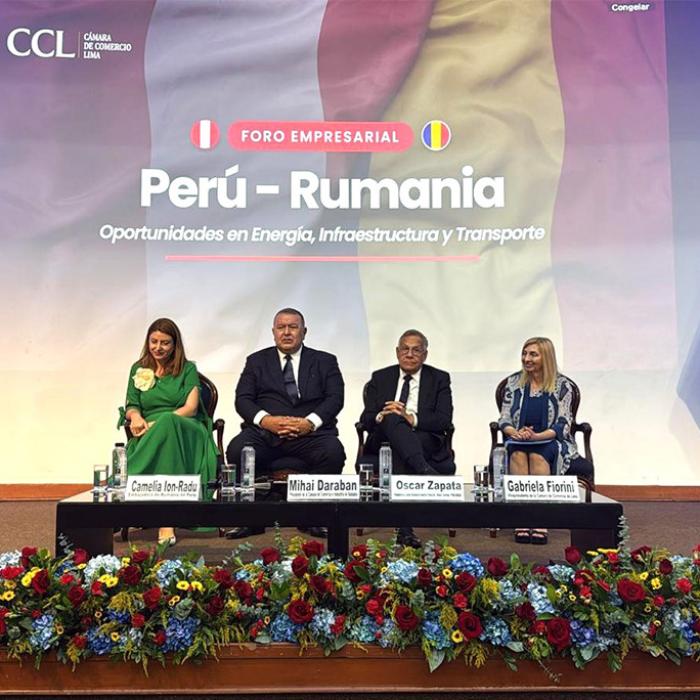 CCIR repoziționează România pe harta economică a Americii Latine