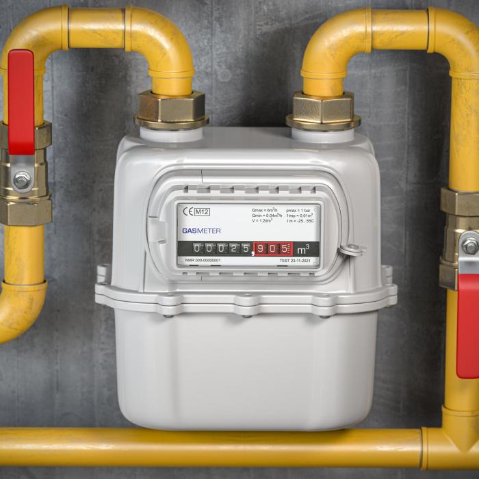 Guvernul prelungește protecția pentru consumatorii de gaze. Noua OUG intră în vigoare de la 1 aprilie