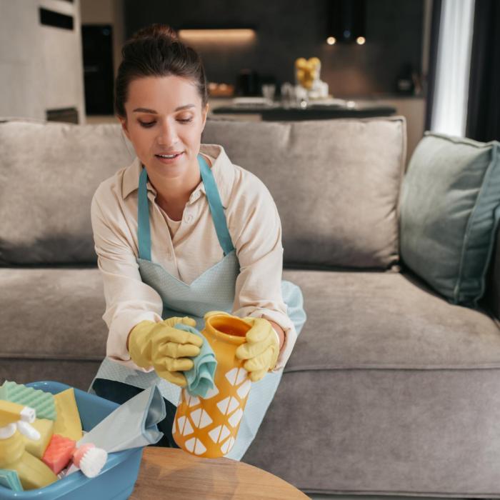 Tichete pentru activități casnice: cum se schimbă legea și ce activități sunt permise