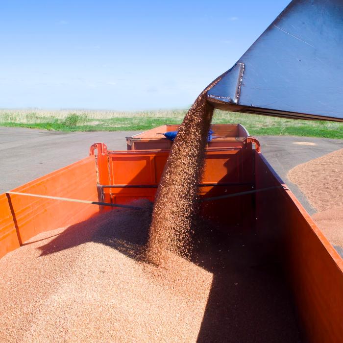 Comerțul global cu îngrășăminte a scăzut cu 30% din cauza războiului din Iran