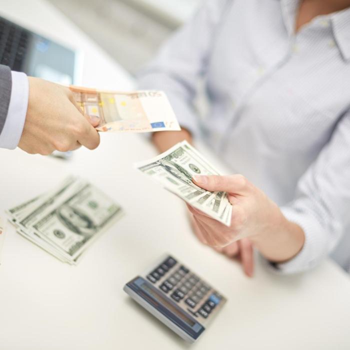 Euro și dolarul au crescut în raport cu leul. Aurul s-a scumpit cu peste 6 lei