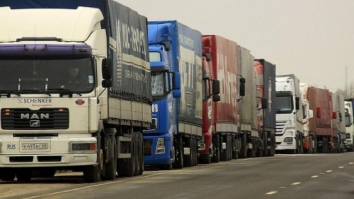 transportatori_21848500