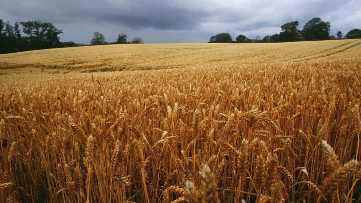 danemark_2218673_960_720_57097500