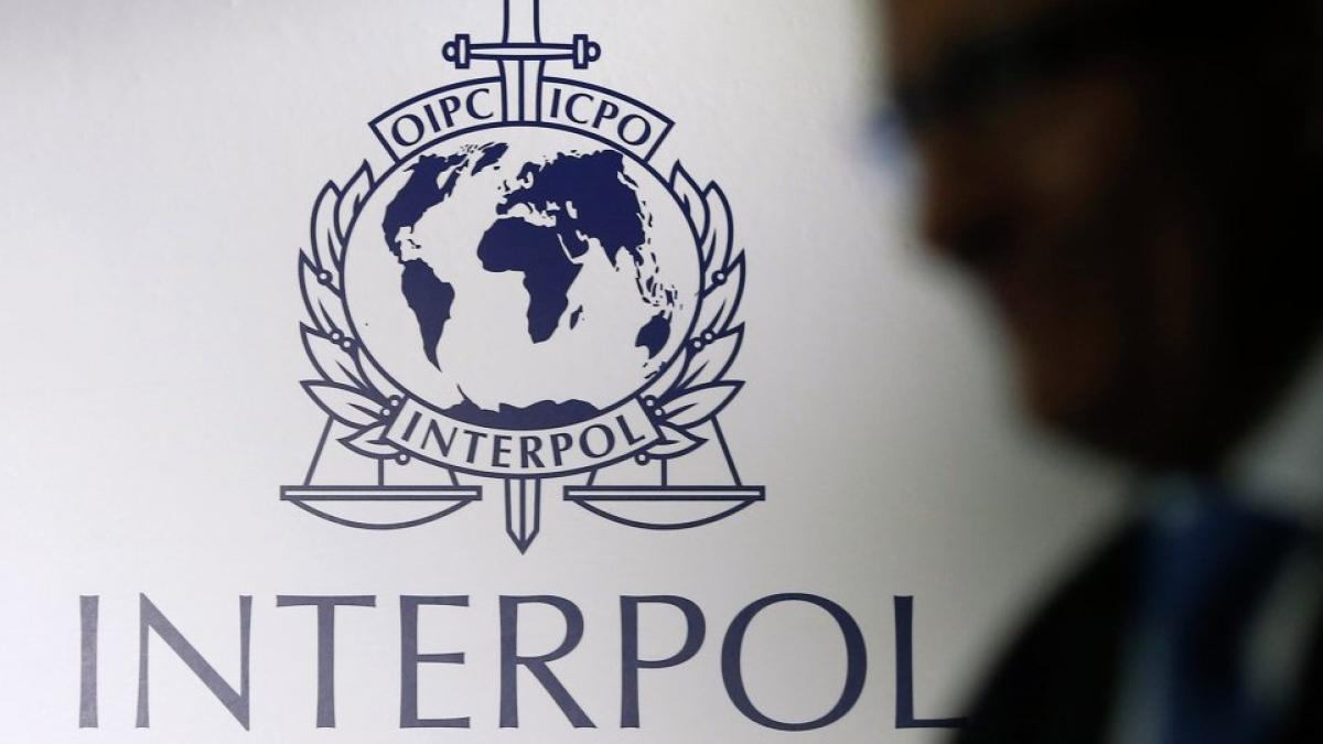 interpol_07803300
