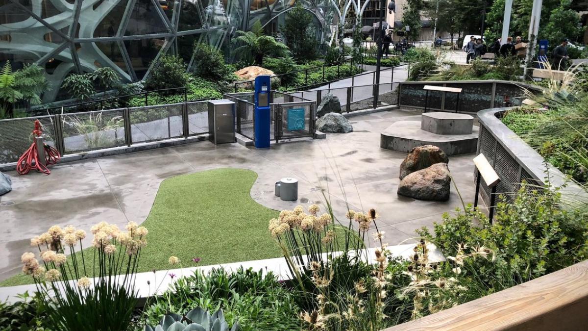 Amazon are propria sa pădure tropicală în Seattle FOTO, VIDEO