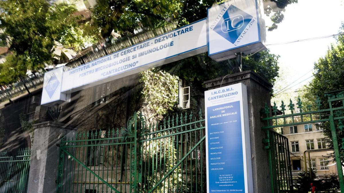 20100902133738001_resize_80445000