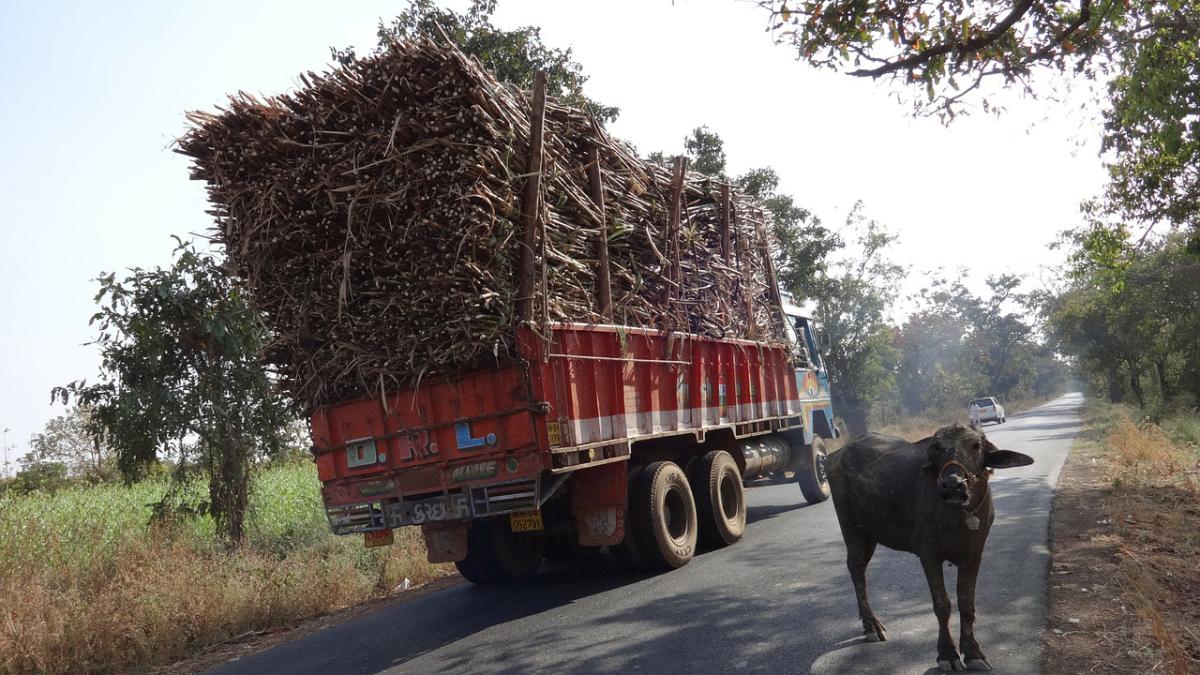 truck_253151_1280_37512500