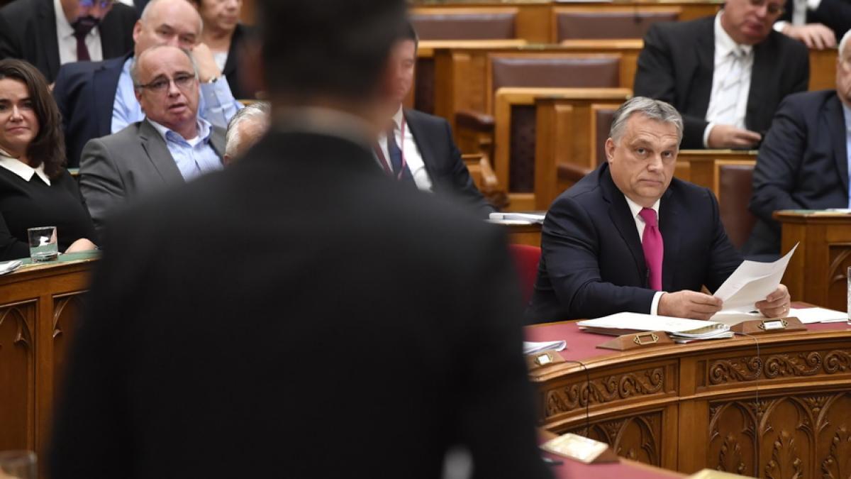 download_resize_33669900