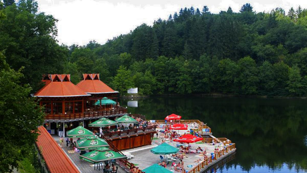 228888_1886549410272_8159865_n_20895900