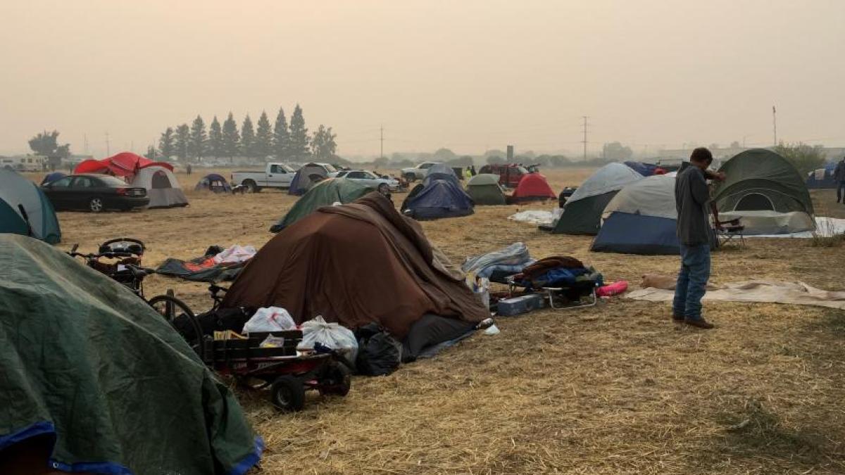 dsjzz_yxgaanh5x_19145300