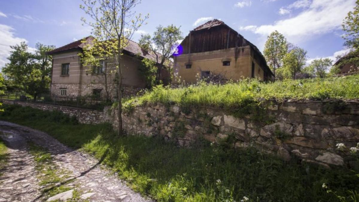 alun_satul_de_marmura_6_768x512_58619200