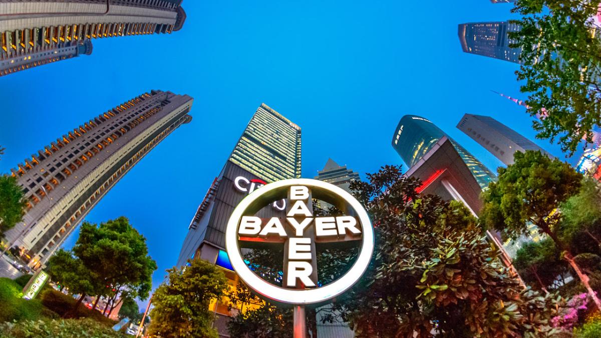 bayer_cross_shanghai_1200_31481100
