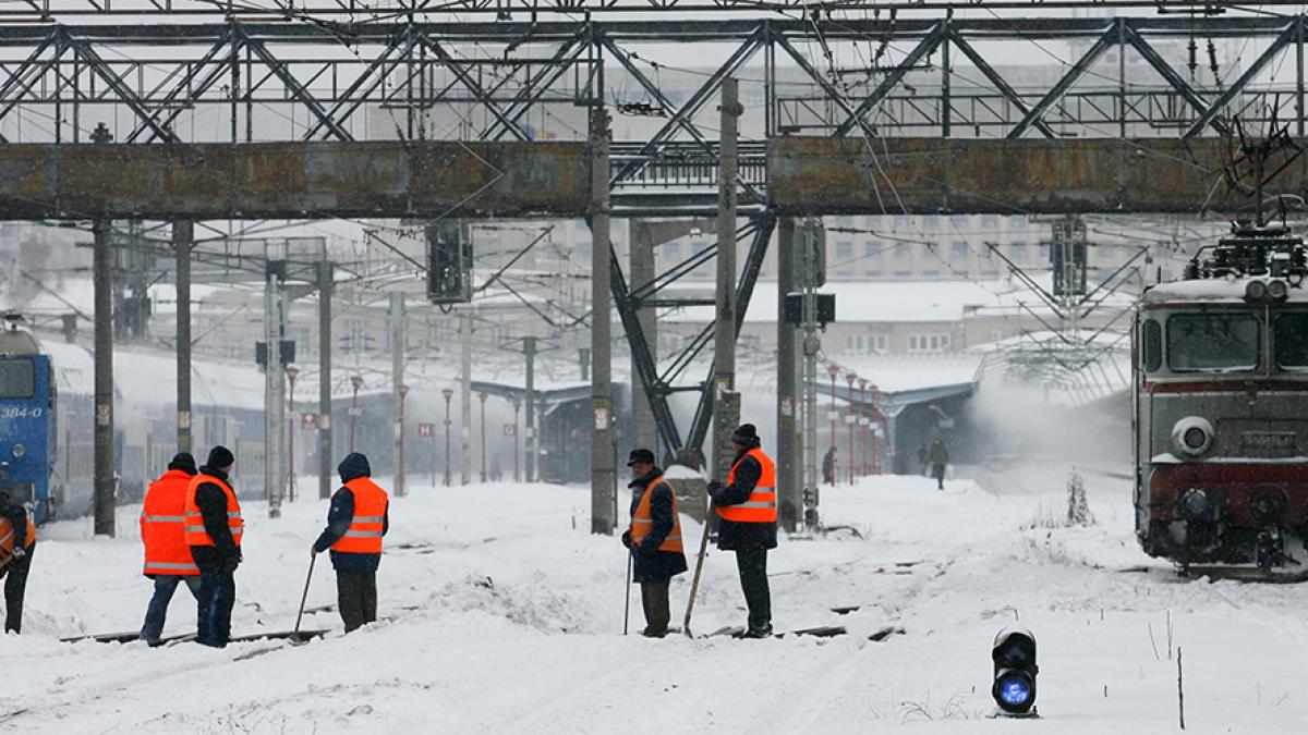 20100208142739015_56363600