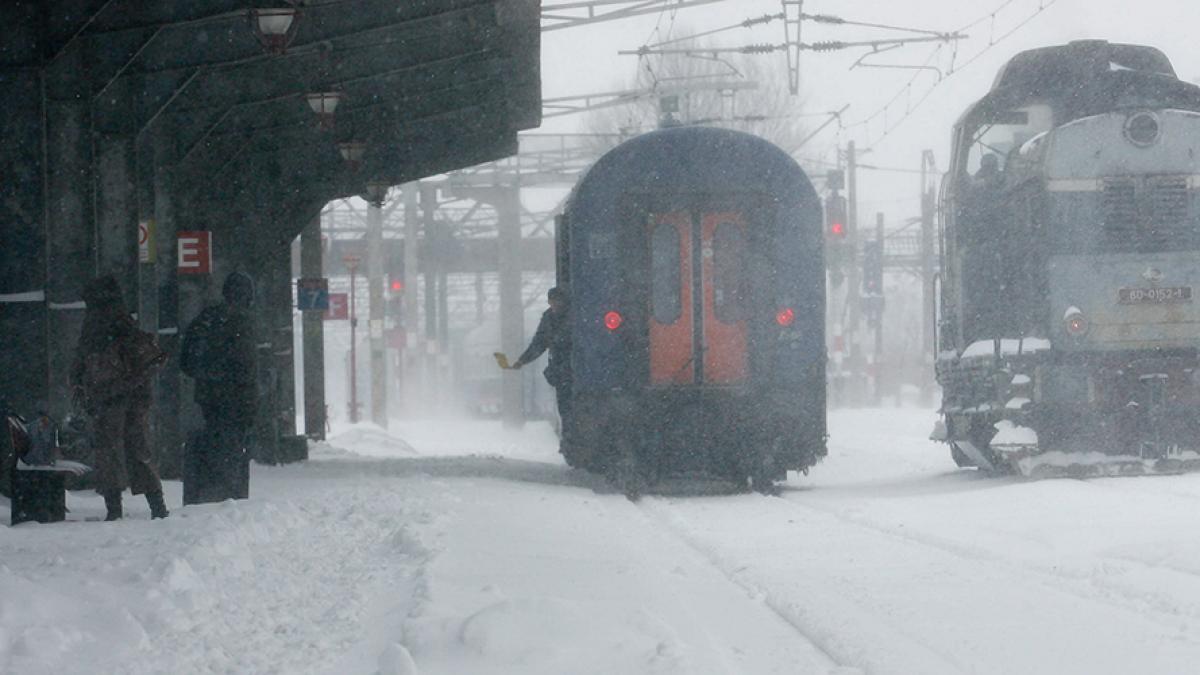 20100208142738003_54269900