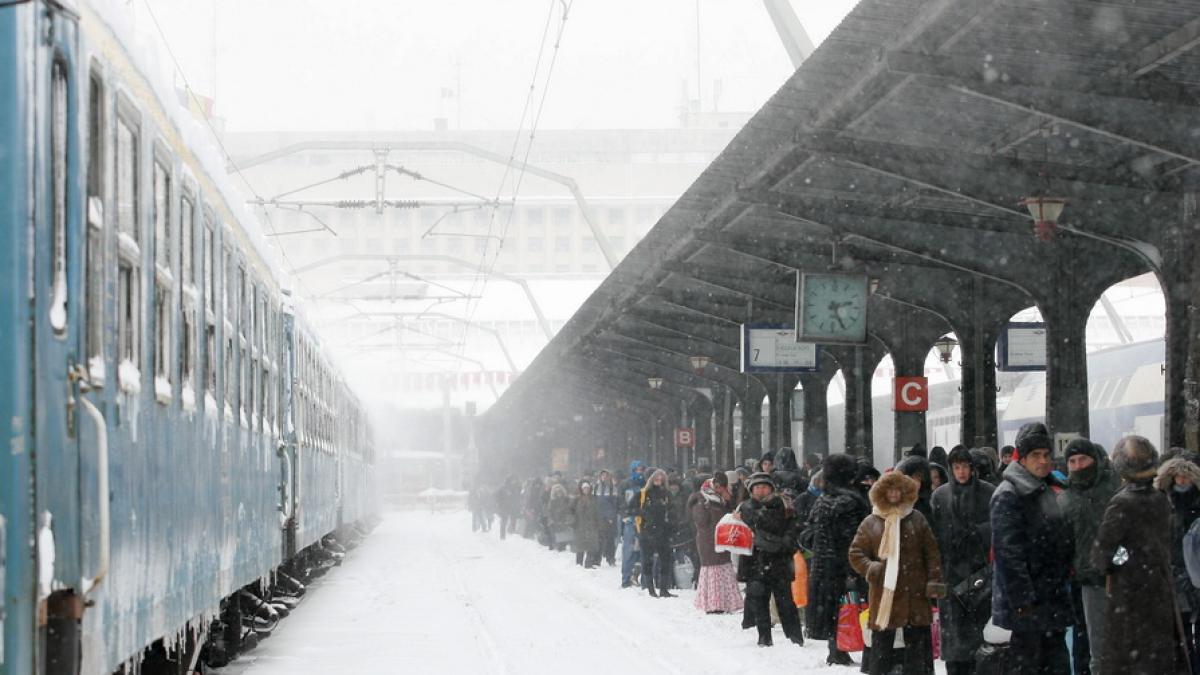 tren_resize_82361500