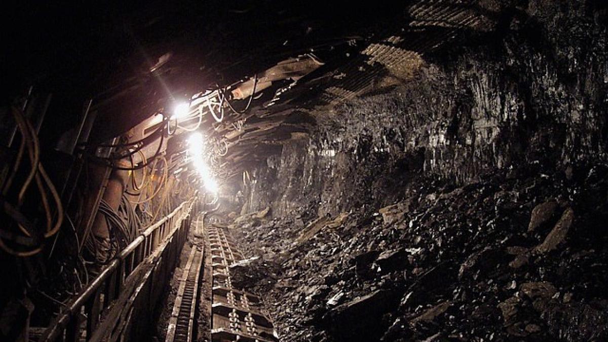 mina_carbune_75893700