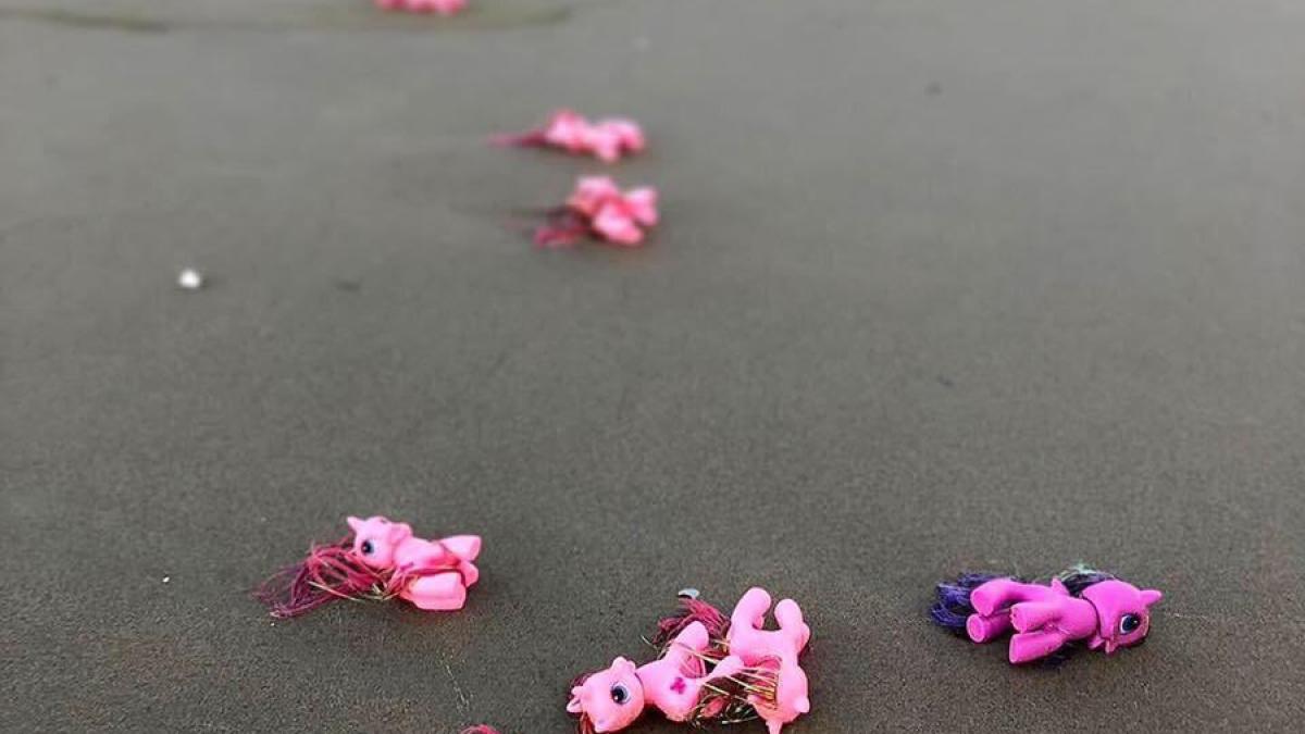 insula_schiermonnikoog_8_89047400