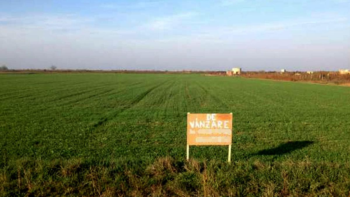 teren_extravilan_de_vanzare_1200x899_c_41903900