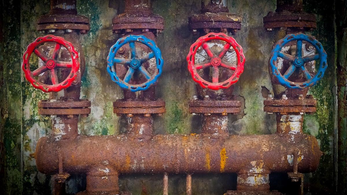 tevi_din_azvest_08141300