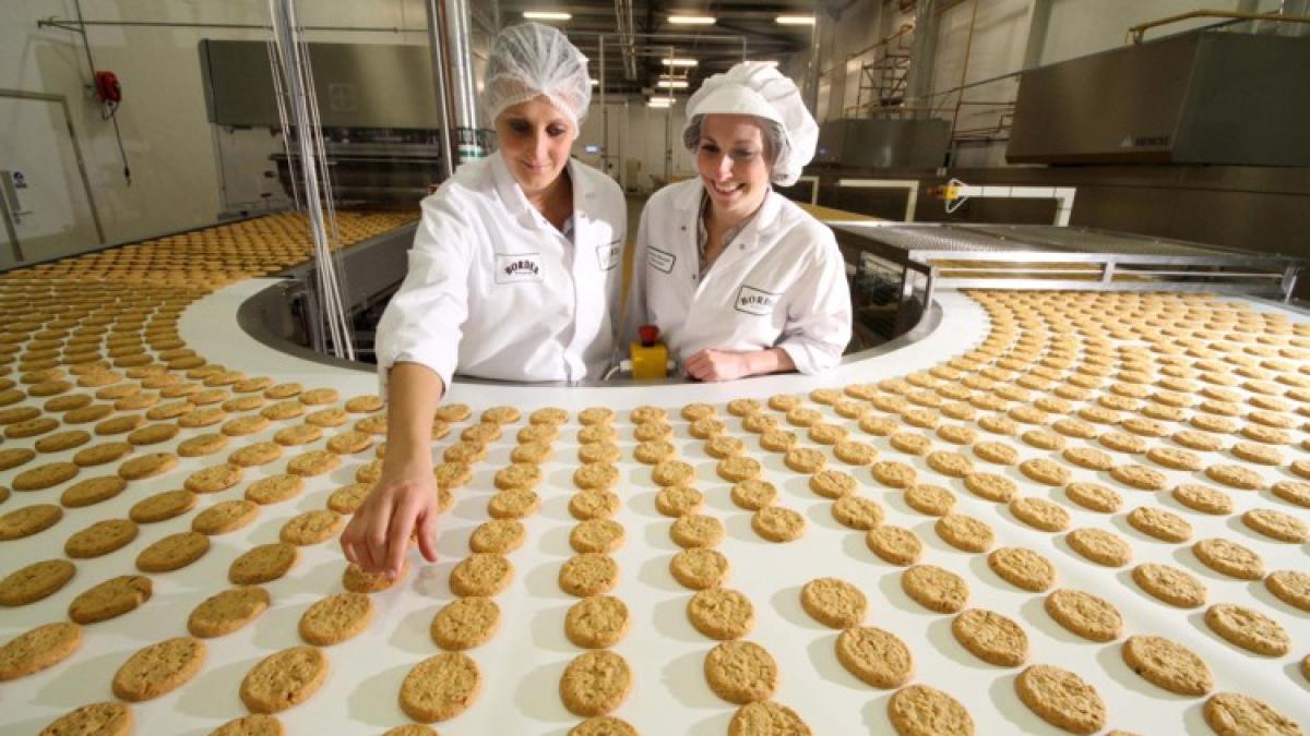 fabrica_de_biscutiti_99793500
