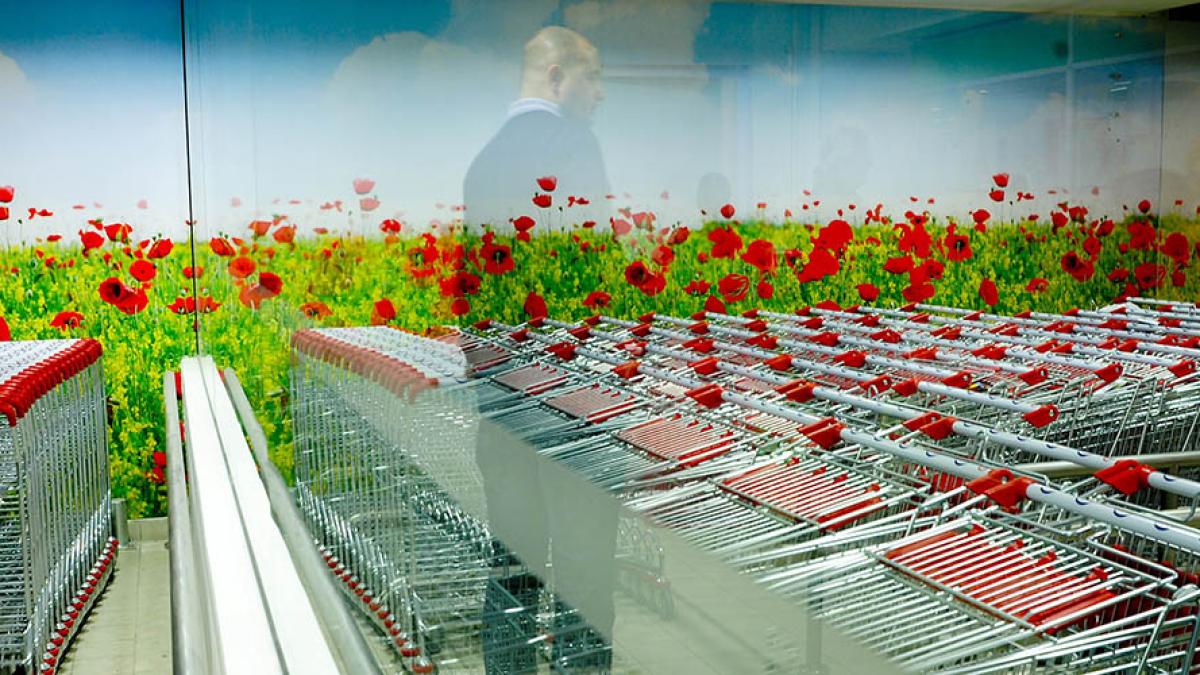 cumparaturi_15133300