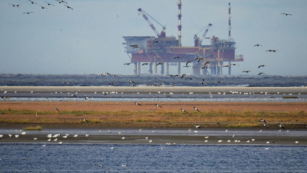 platforma_petroliera_30268600