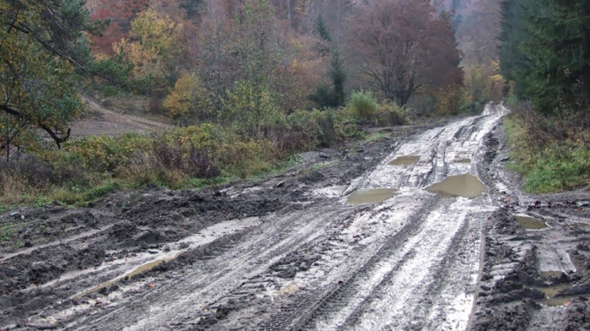 drumuri_sate_01827200