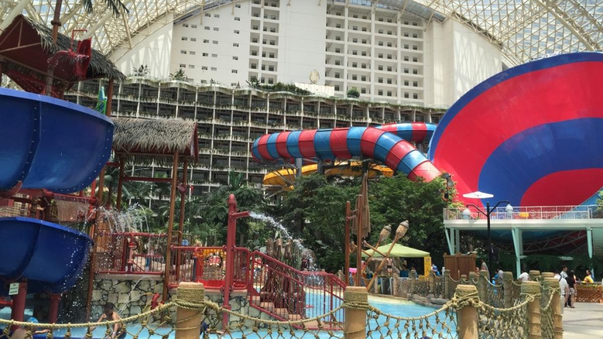 building121_1024x768_30180100