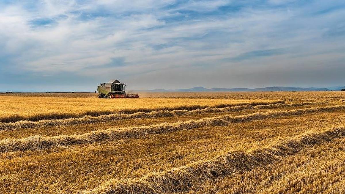 renta_agricola_36604600