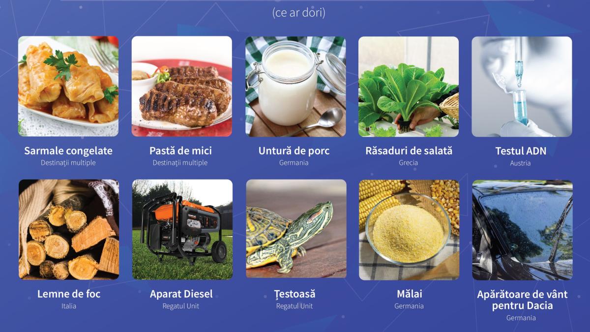 the_house_eurosender_infographic_56752700