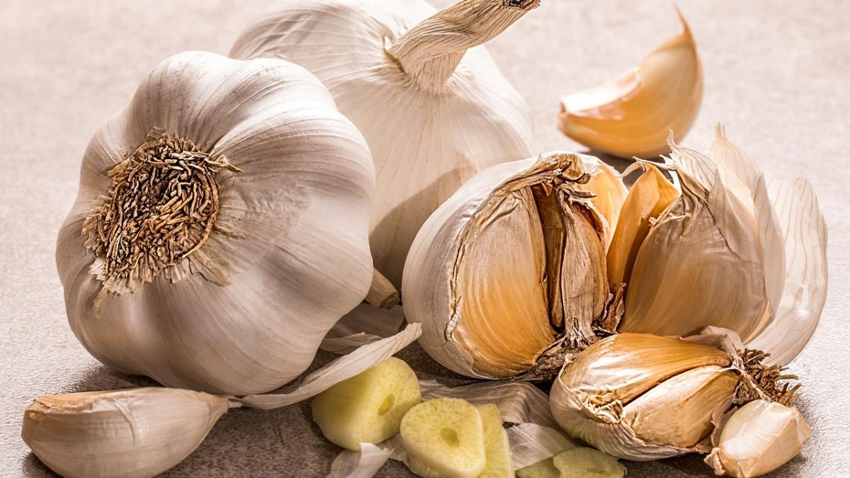 garlic_3419544_1280_16955100