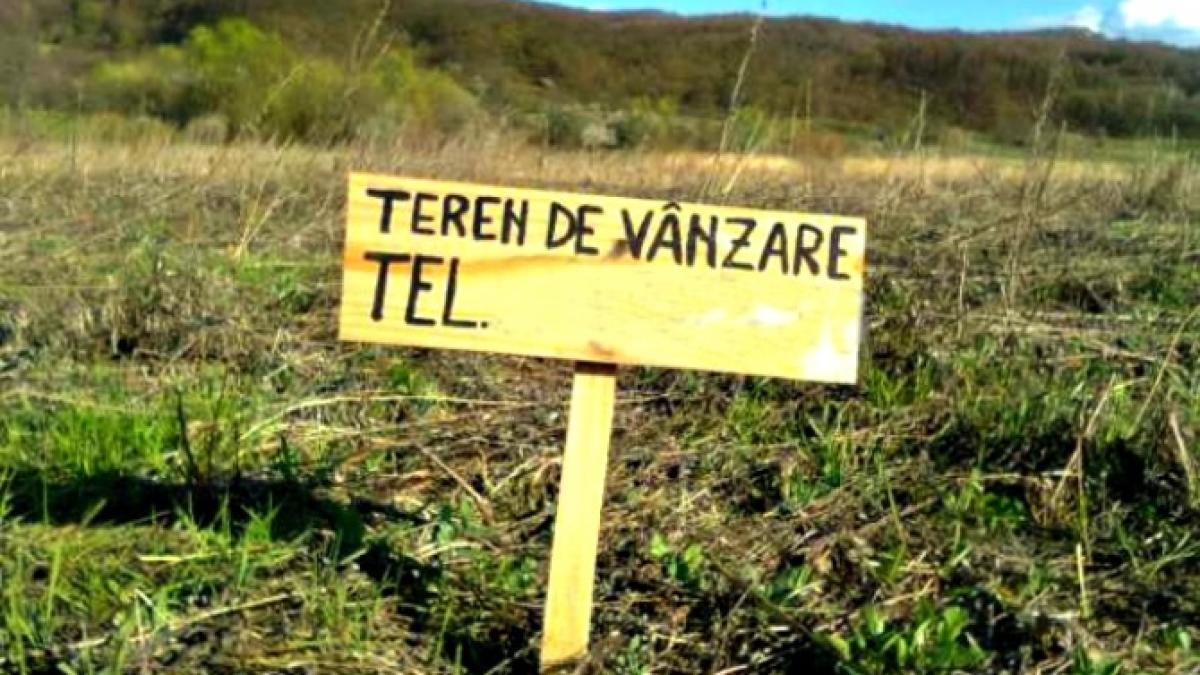 teren_de_vanzare_72207200