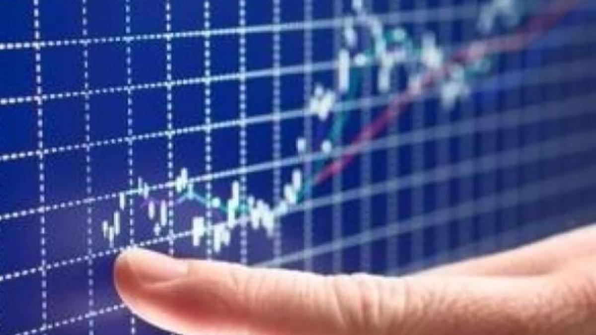 bursa_evolutie_22772400