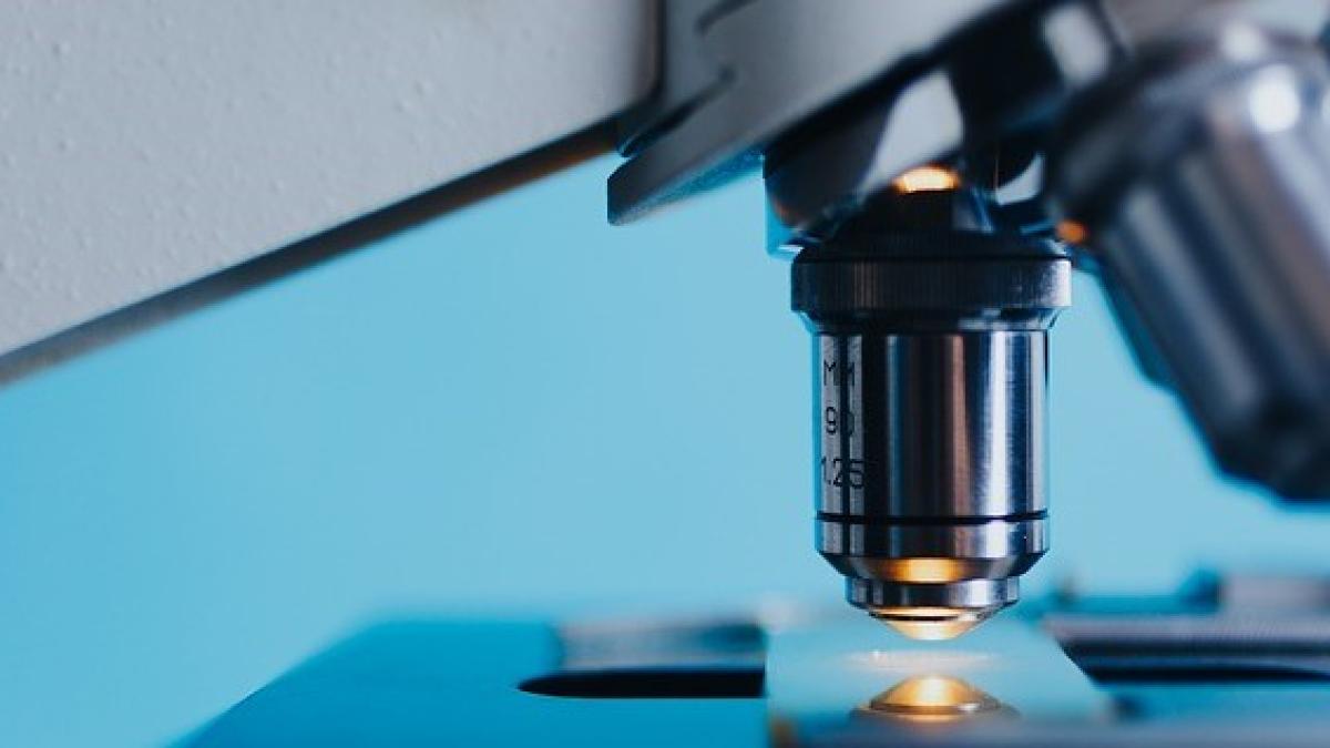 inteligenta_47030900