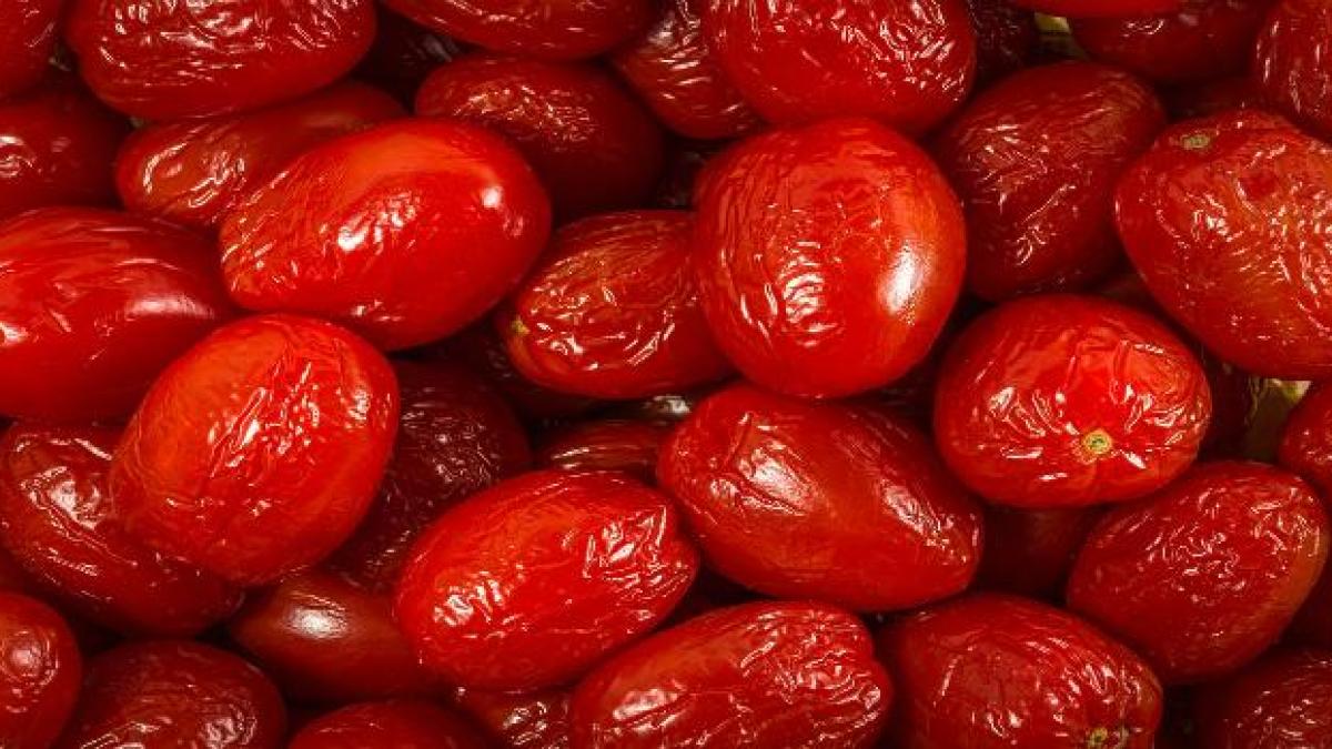 goji___web_2048x_progressive_58569800