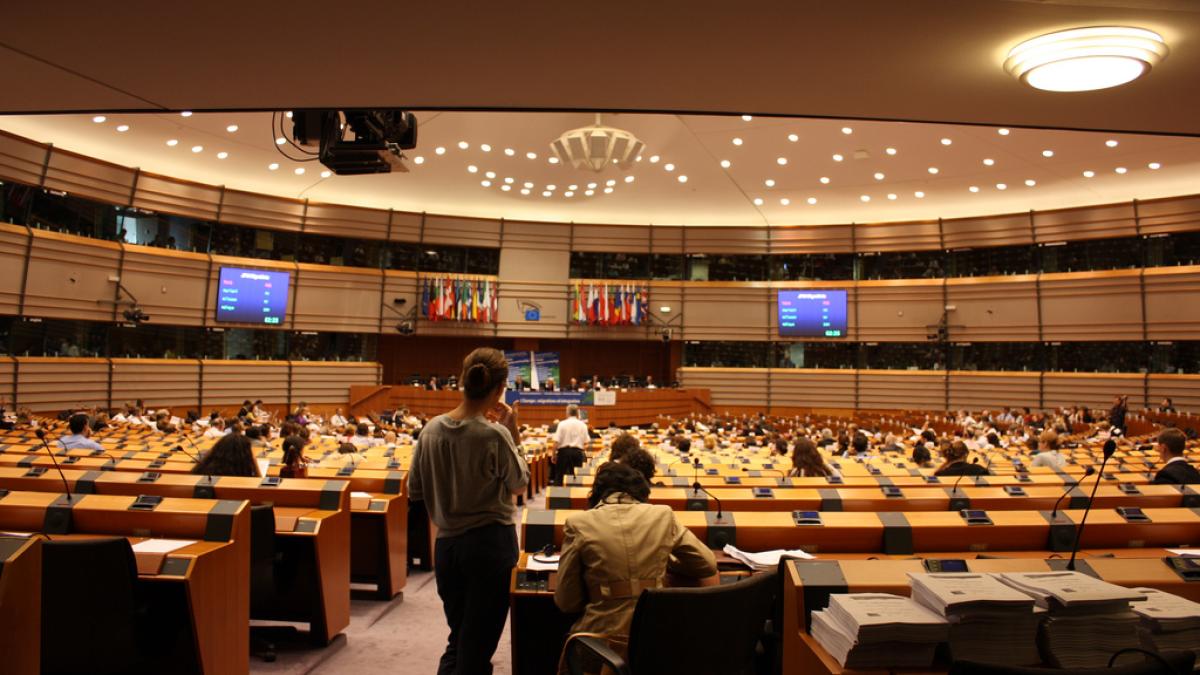 2870070075_542b7febc3_b_56456400