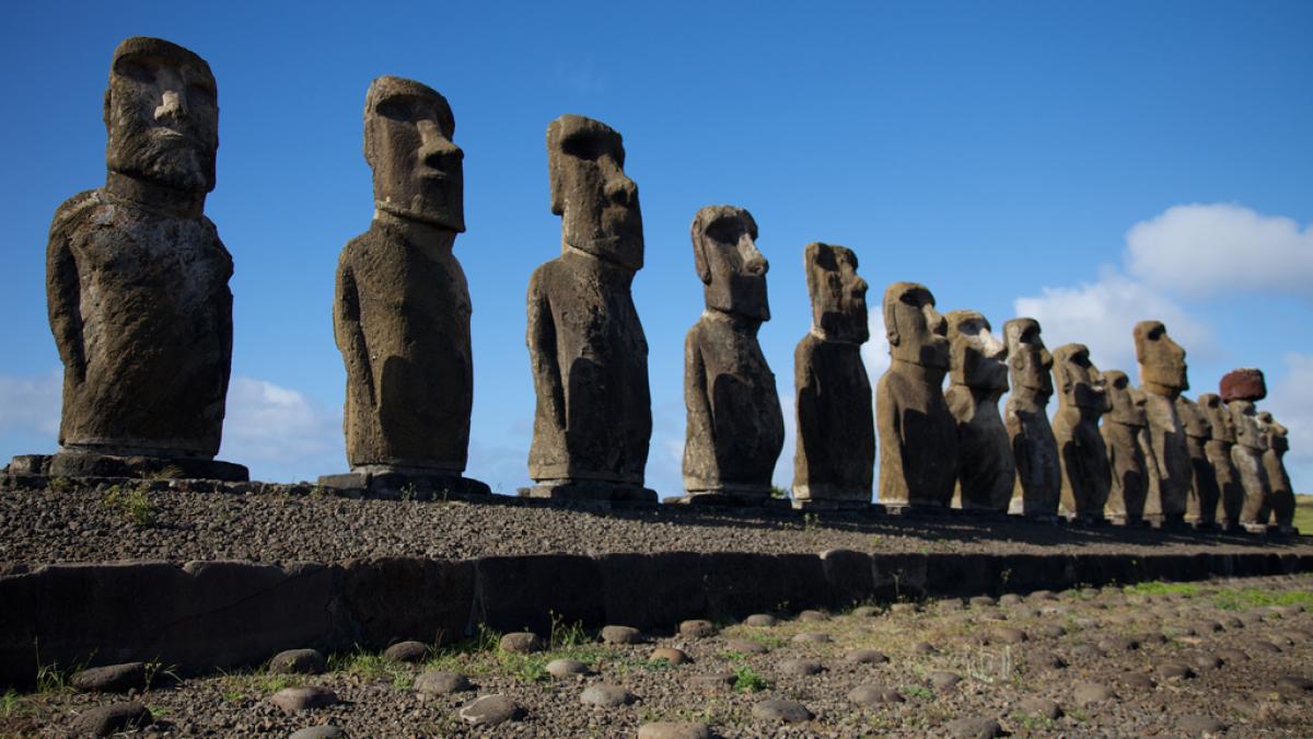 5804374210_bbed753da4_b_81048200