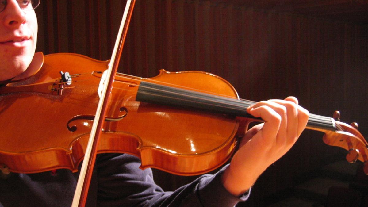 viola_w_56653800