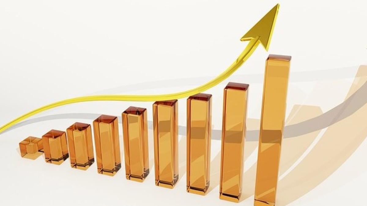 grafic_crestere_26627900