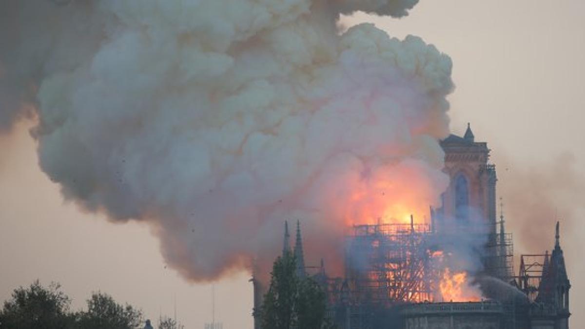 notre_dame7_85001200