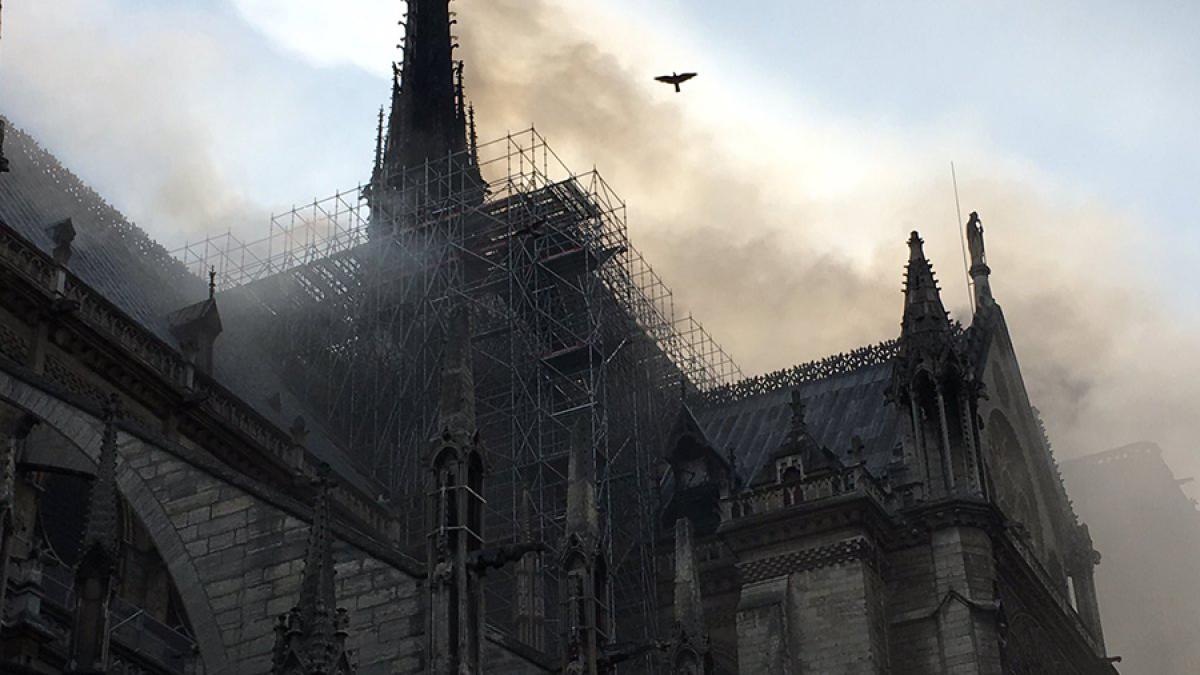 d4naii2x4am91vv_52764900