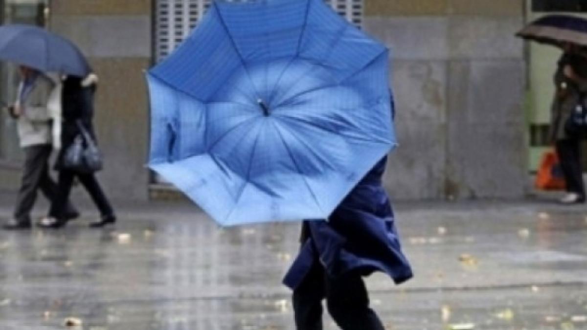 vant_puternic1_07315700