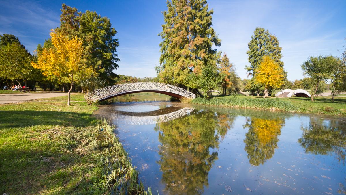 parcul_tineretului_67824700