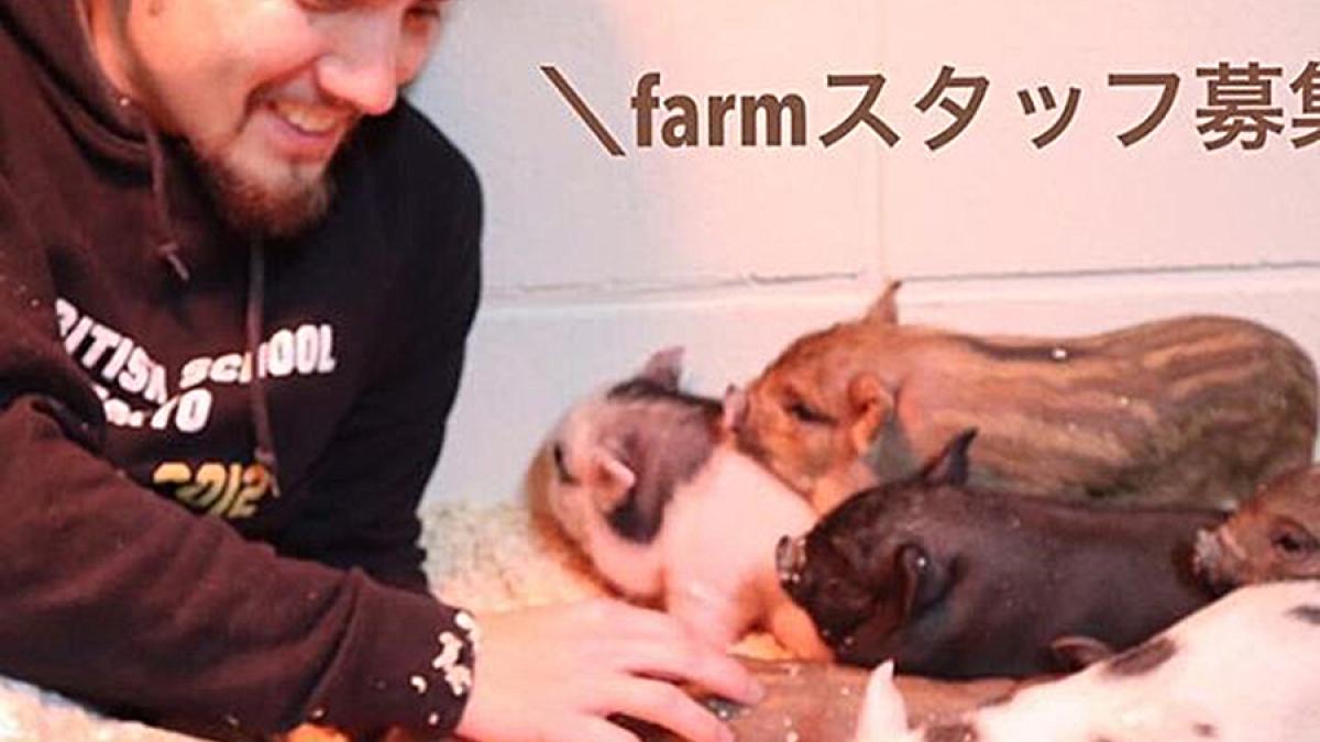 50690847_2249395865307864_540207114347638318_n_32542800