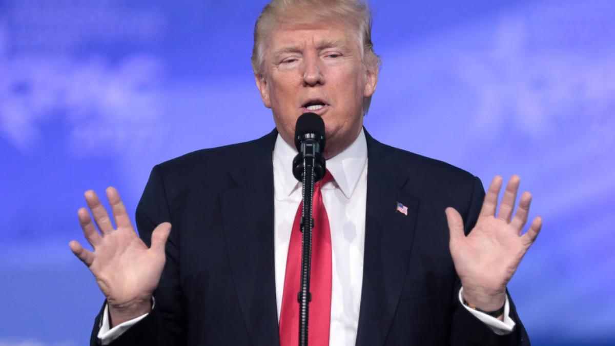 33013577331_8bd268194d_b_27446400