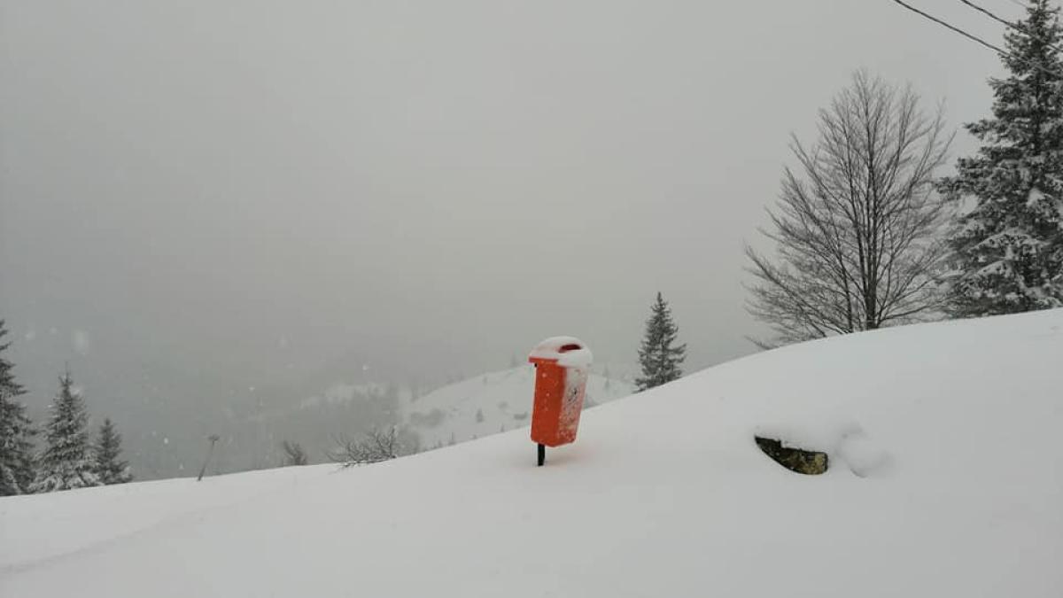 ninsoare_in_judetul_suceava_3_32298800